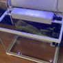 aquarium 27 litre fully equipped Image 3