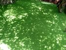 Artificial grass installation service Image 3