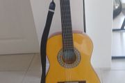 accustic guitar