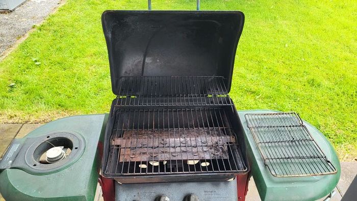 Gas Barbeque Free