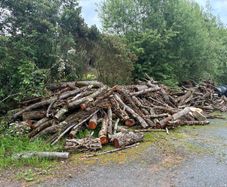 Fire wood for sale