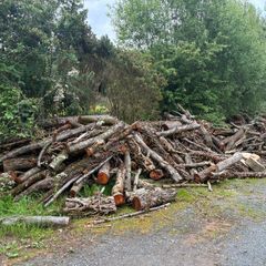 Fire wood for sale