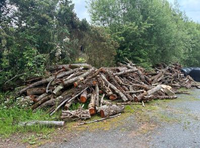 Fire wood for sale
