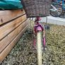 Pendleton Kids Bike Image 4