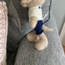 handknit dog Image 3