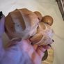 massage wood balls Image 2