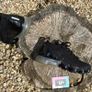Premium Nike Air Vapormax Flyknit 2 Image 3