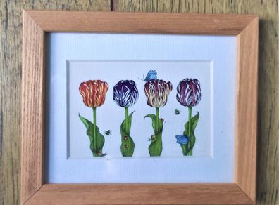 Belinda Northcote - Four Flowers Frame