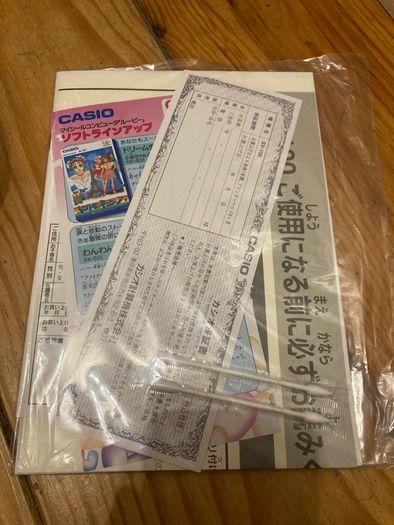 Casio loopy console