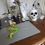 Venus flytrap artifical plant Image 8
