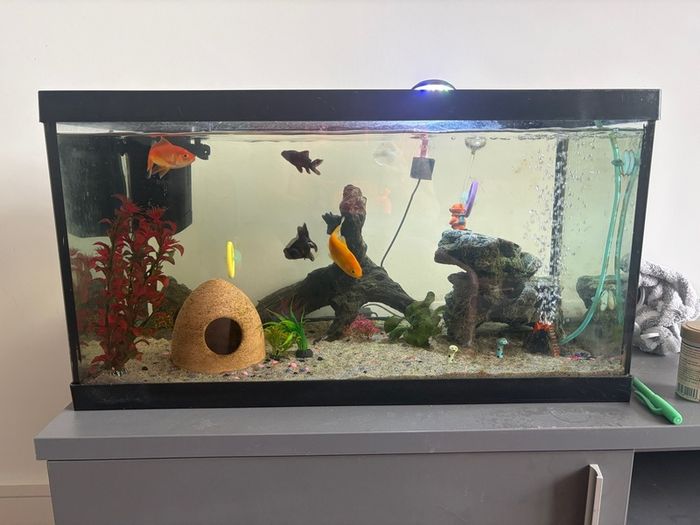 65L Fish Tank