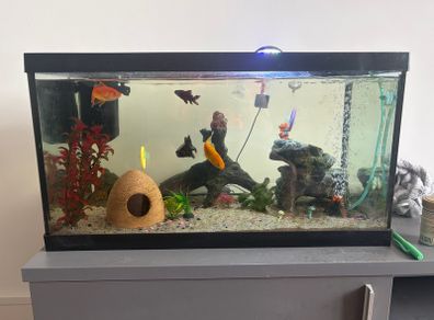 65L Fish Tank
