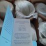 6 new newbridge mugs in box Image 6