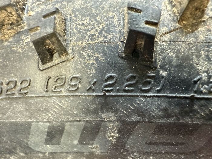 Schwalbe