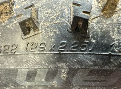 Schwalbe