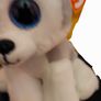 Ty Buff Husky Beanie Boo; Soft Toy (999)  (A7)  2 Image 5