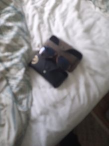 rayban