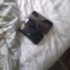 rayban