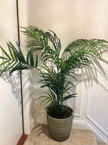 artificial plant and pot
