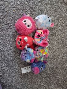 teddys