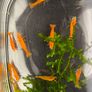 Dwarf Crayfish, Shrimp, Floating plants and Snail Image 9