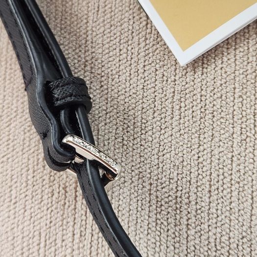 Michael kors crossbody (new with tags)