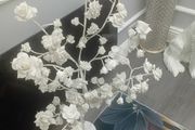 lamps.  Two light up trees  perfect for table lamps  50 euro for the two