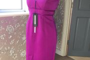 BN M&amp;S ladies midi magenta dress size 12