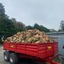 Firewood Image 2