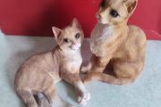 SET OF 2 Orange Cat Sitting.