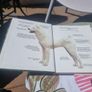 Three Pet Love dog breed guides. Image 5