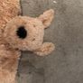 Large Jellycat dog Image 2