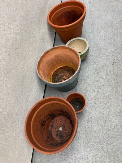 x3 Large Terracotta pots x2 Small ceramics pots