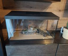aquarium set