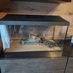 aquarium set
