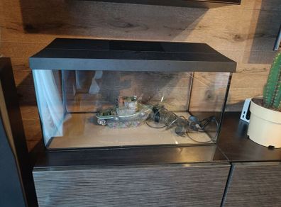 aquarium set