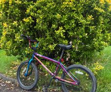 bmx