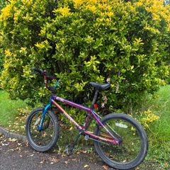 bmx
