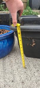 Garden Pot