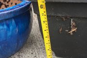 Garden Pot