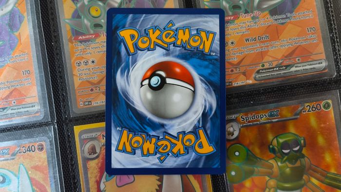 Morpeko ! Promo from Sword & Shield Era ! 2020 ! Pokemon Card !