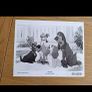 Walt Disneys Lady And The Tramp  Press Kit Image 4