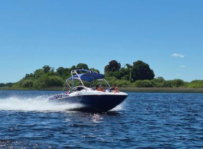 Yamaha AR210 For Sale!.