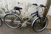 mountain bikes