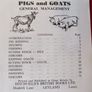 3 Booklets/ Ditchfields Little Wonder Books/ 1952 Image 7
