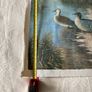 Duck Scene Canvas Painting by Justus Image 5