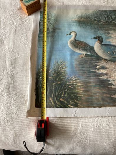 Duck Scene Canvas Painting by Justus