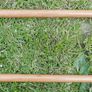 Vintage Walking Sticks (55 each) Image 2