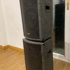 Pa Speakers