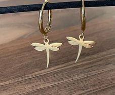 Stainless steel earrings